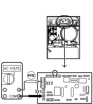 t39 rsf.gif
